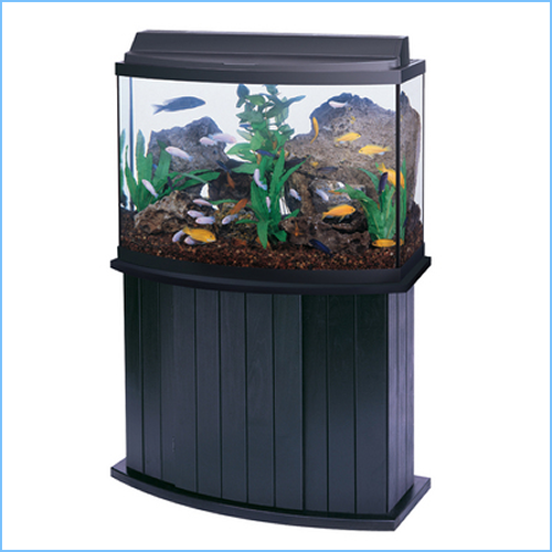 Bow Front Aquarium Tank Cabinets 2 Bow Front Aquarium Tank Cabinets - Image 2