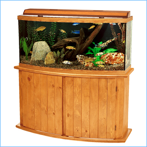Bow Front Aquarium Tank Cabinets 1 Bow Front Aquarium Tank Cabinets