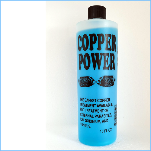Copper Power Copper Treatment 1 Copper Power 16 oz