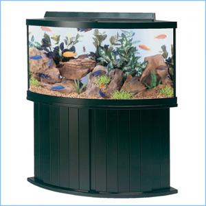 Corner Aquarium Tank Cabinets