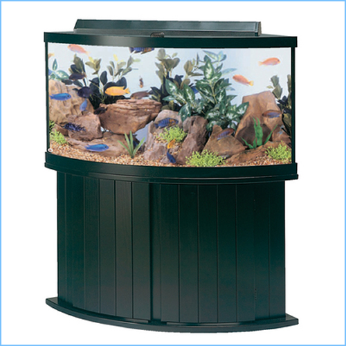 Corner Aquarium Tank Cabinets Pete S Aquariums Fish - Corner Fish Tank Stand Corner Aquarium Tank Cabinets Pete S Aquariums Fish - Corner Fish Tank Stand