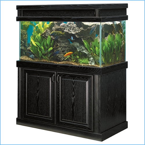 Square Aquarium Tank Cabinets 3 Square Aquarium Tank Cabinets - Image 3